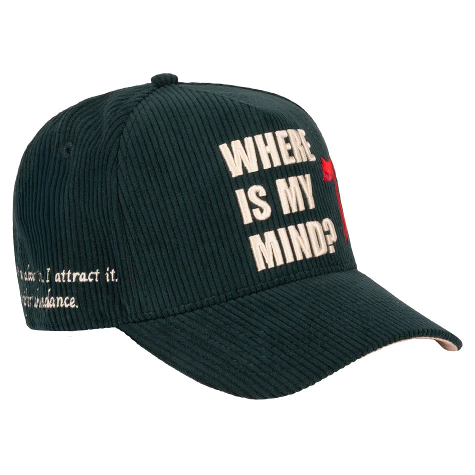 WHERE IS MY MIND? 777 - PANA VERDE